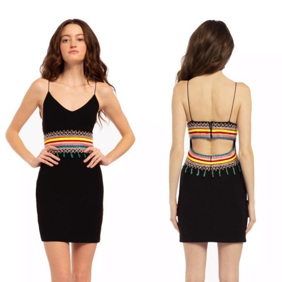 🎀SOLD🎀Alice + Olivia Loralee Embroidered Dress - Picture 3 of 8